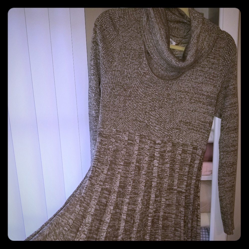 Calvin Klein Sweater Dress With Turtle Neck